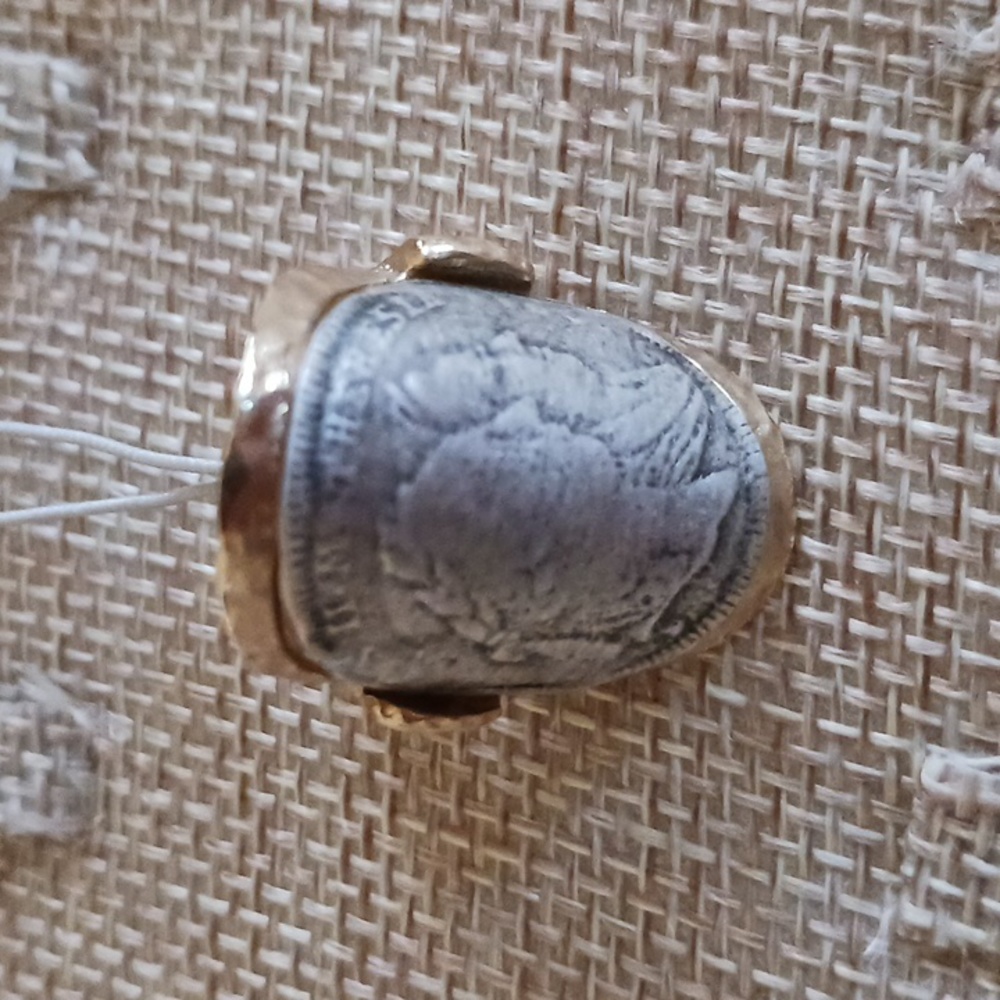 Tat2 Ring